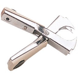 Extraegrapas Petrus 110